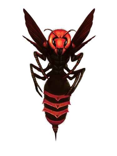 Giant Fire Bee